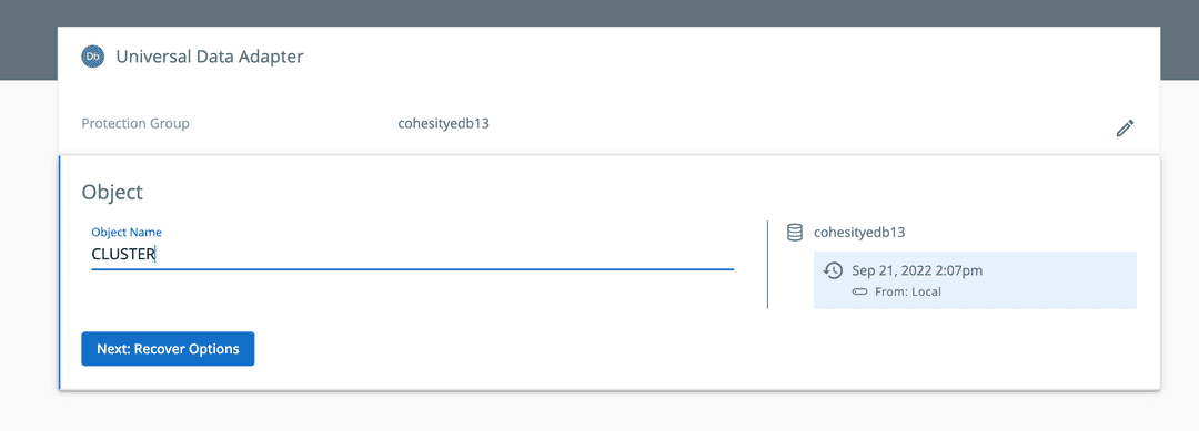 Cohesity Recover Object Name